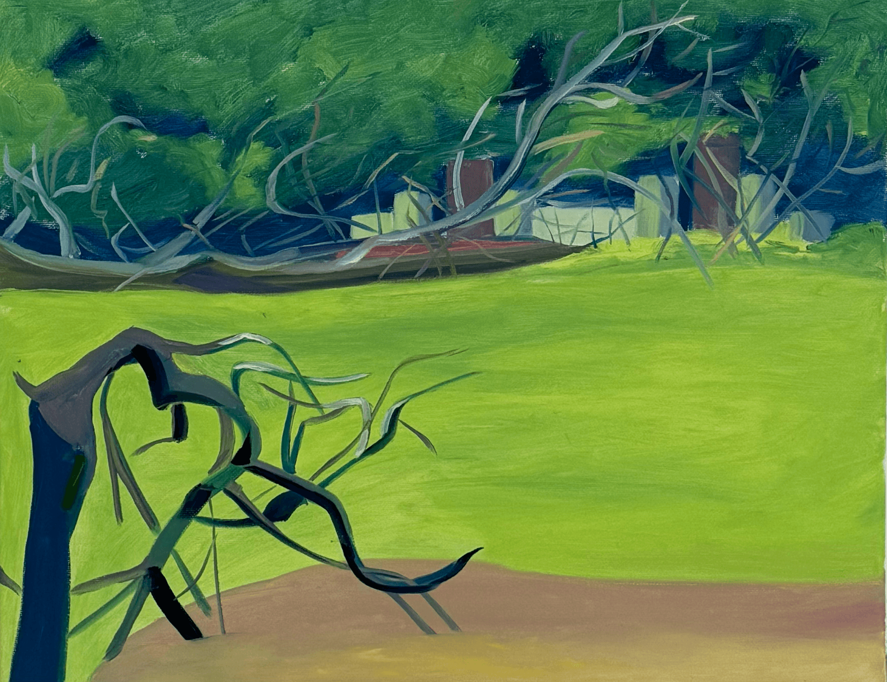 The Trees Along the Road.1