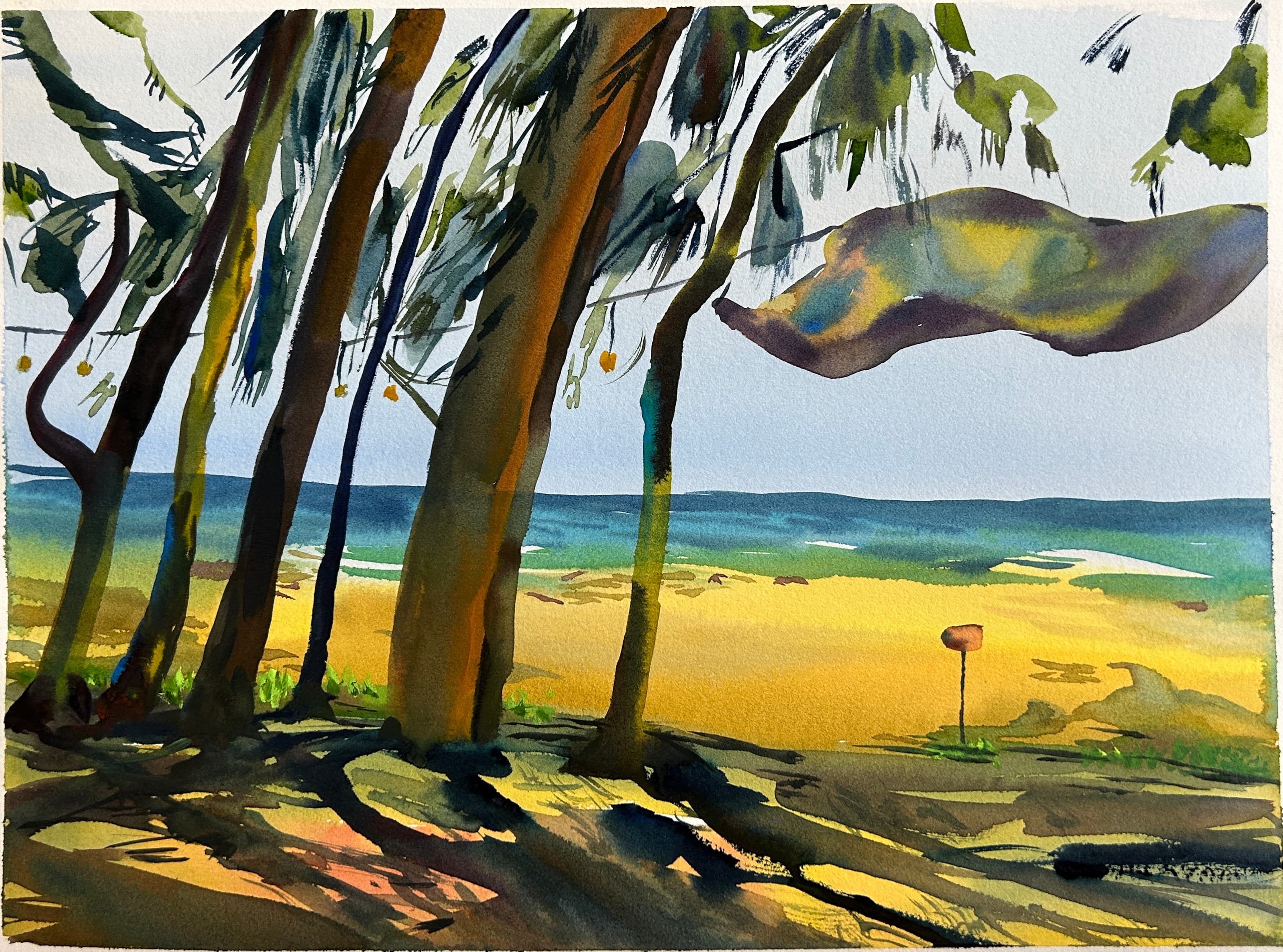 In the warm sunshine