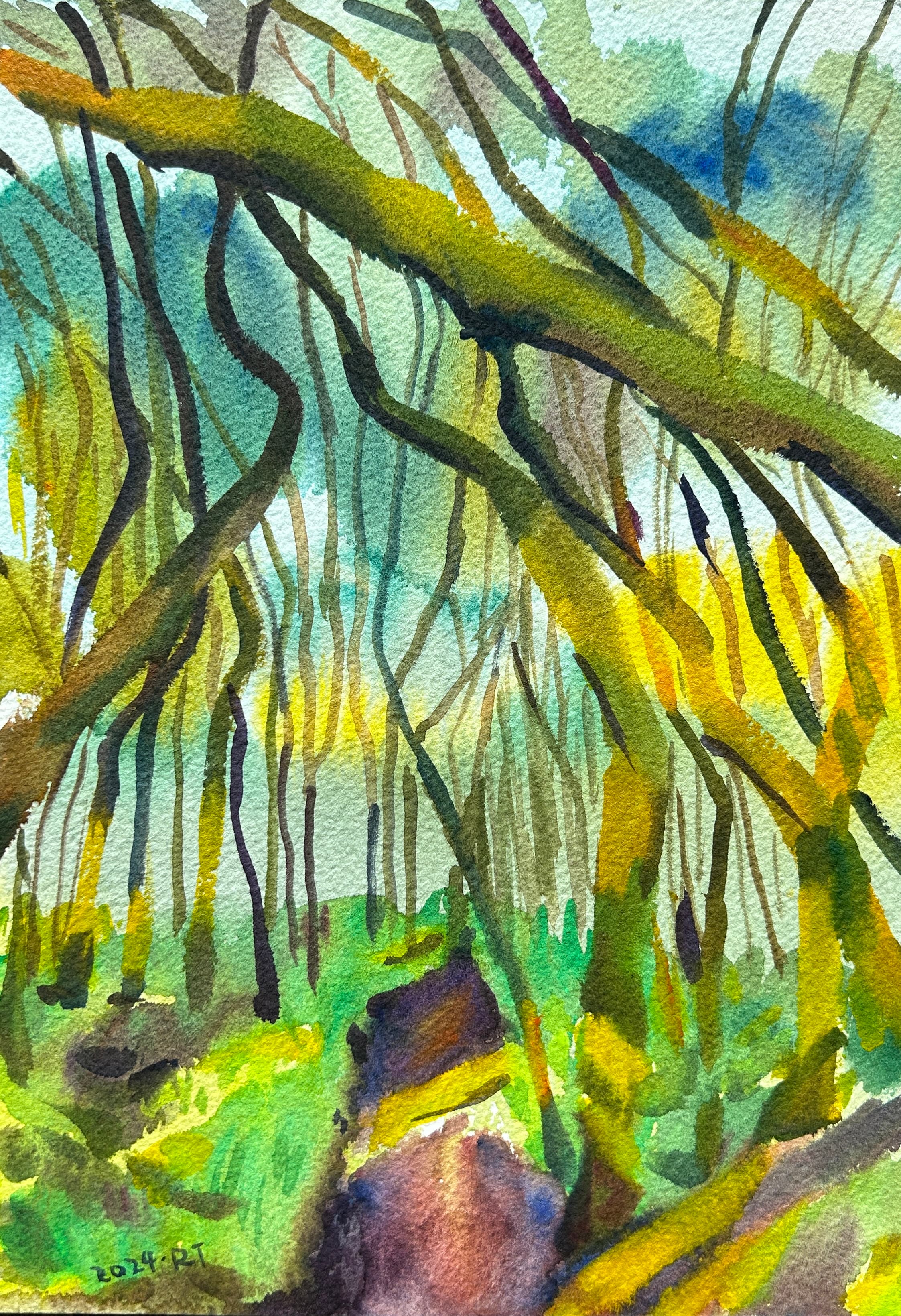 Walking Trees.2